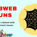 Cobweb Puns