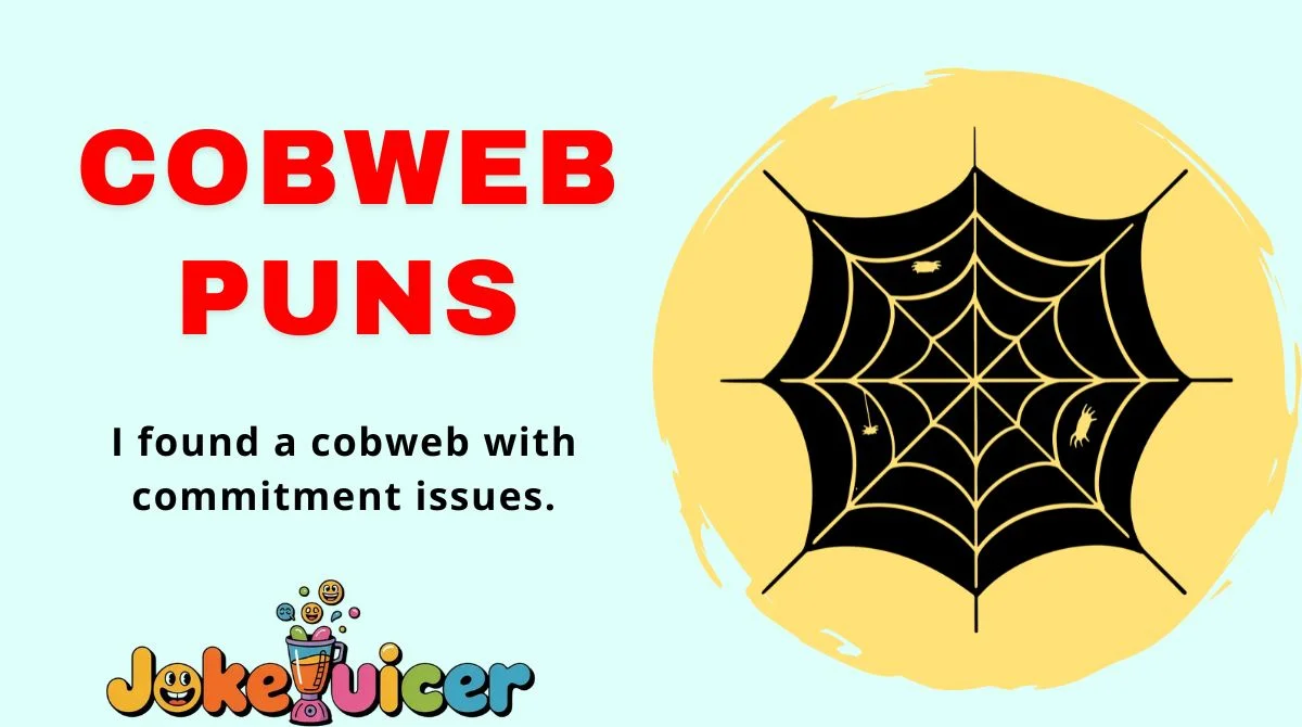 Cobweb Puns