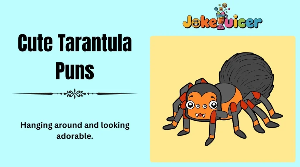 Cute Tarantula Puns