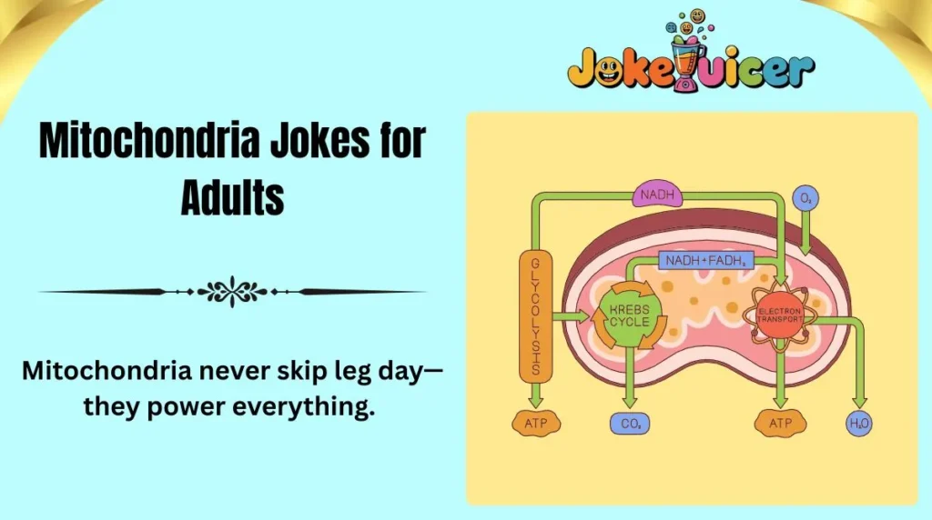 Mitochondria Jokes for Adults