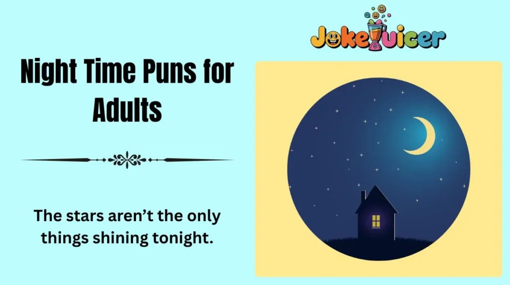 Night Time Puns for Adults