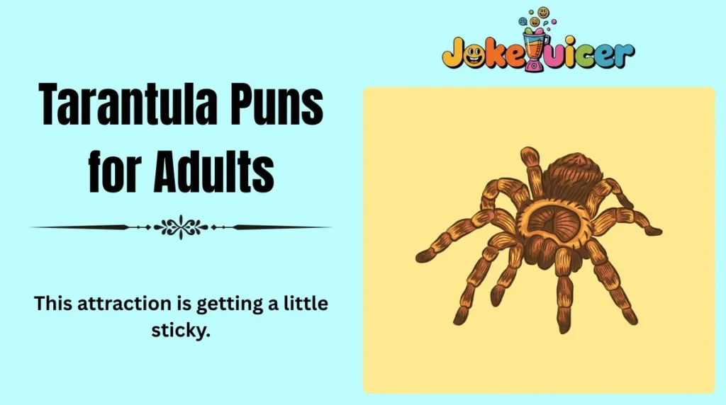 Tarantula Puns for Adults