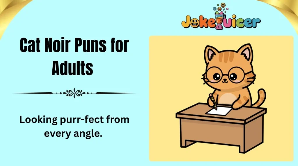 Cat Noir Puns for Adults