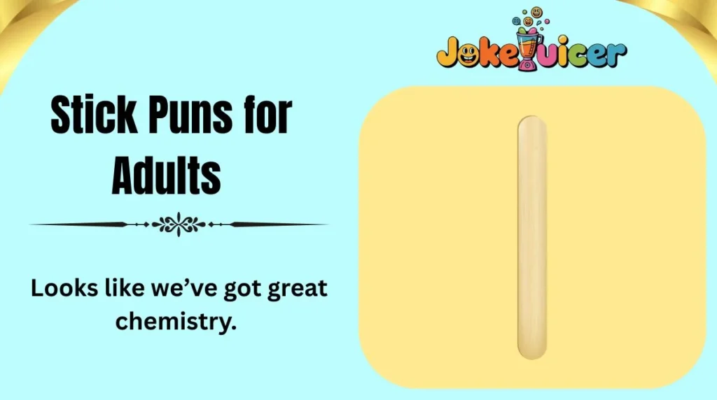 Stick Puns for Adults