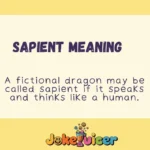 Sapient Meaning