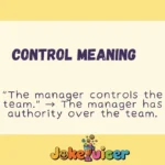Control Meaning